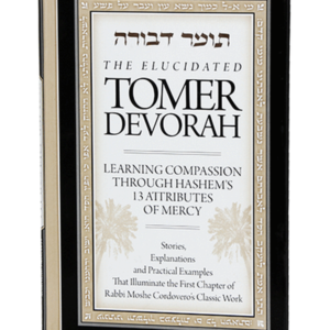 Tomer Devorah