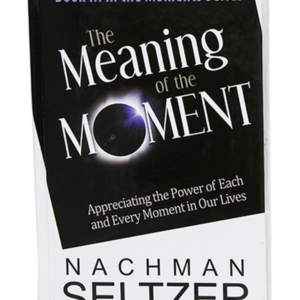 MEANING OF THE MOMENT