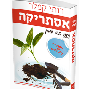 אסתריקה