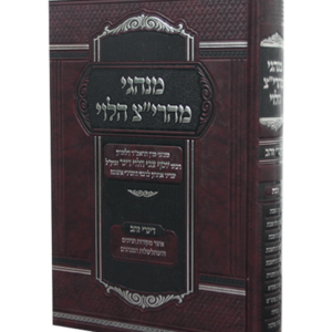 מנהגי מהרי"צ הלוי שבת
