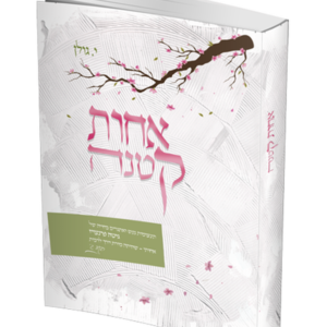 אחות קטנה – סיפור חייה של גיטה