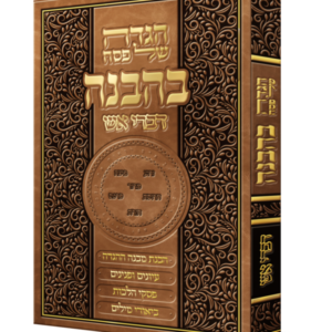 הגדה של פסח בהבנה
