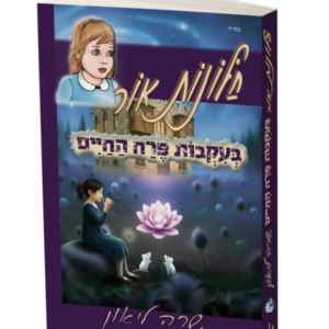 חלונות אור 11 בעקבות פרח החיים