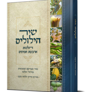 שיר הילולים – הלכות ארבעת המינים