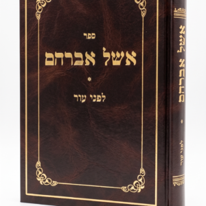 אשל אברהם – לפני עור לא תתן מכשול